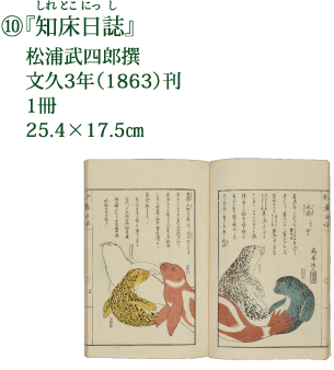⑩『知床日誌』 松浦武四郎撰 文久3年（1863）刊 1冊 25.4×17.5cm